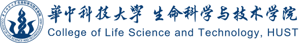 6776永利集团